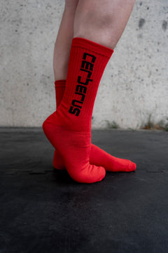 CERBERUS Training Socks